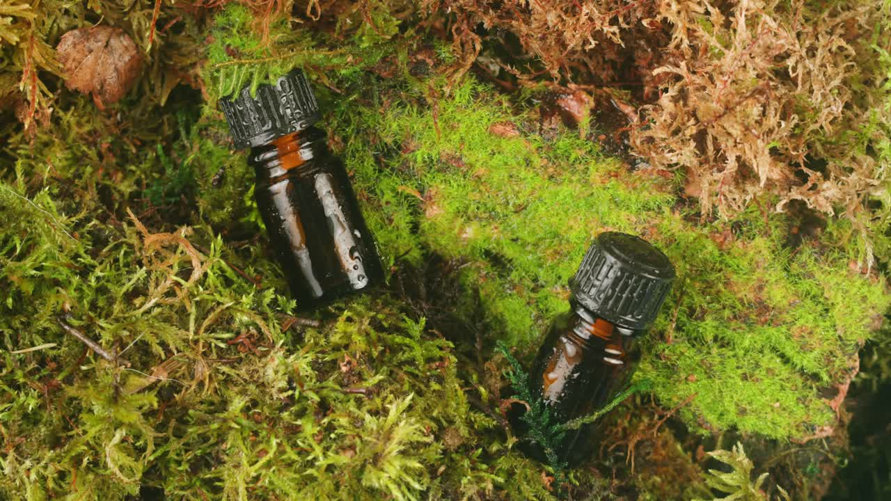 Bottle of cosmetics cream serum on moss forest background green leaves. Woman Make up healthy natural products.