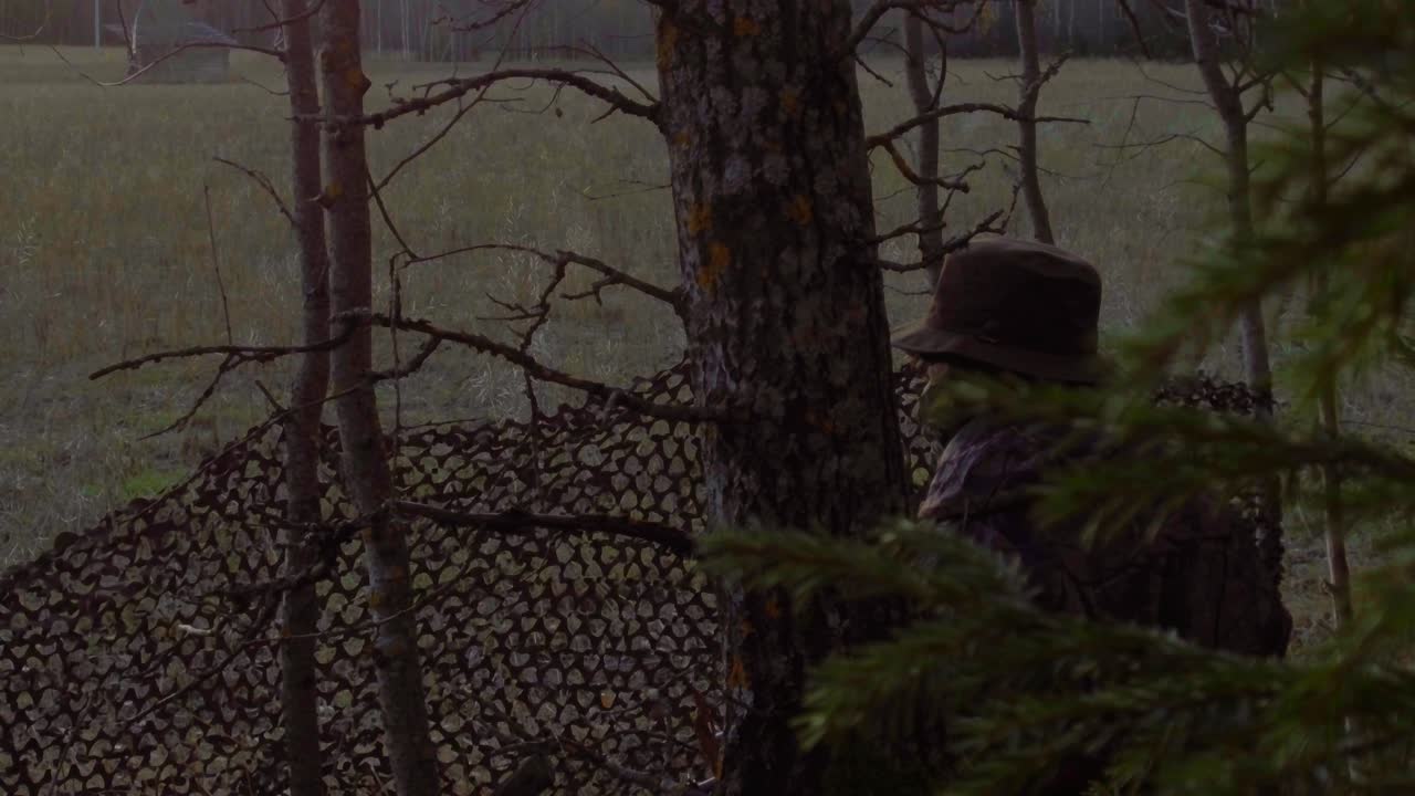 Jæger affyrer et skud, aktion, jagt på hjorte i skoven, camouflage.