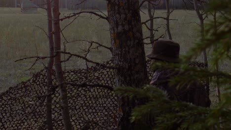 cazador disparando un tiro, acción, cazando ciervos en el bosque, camuflaje