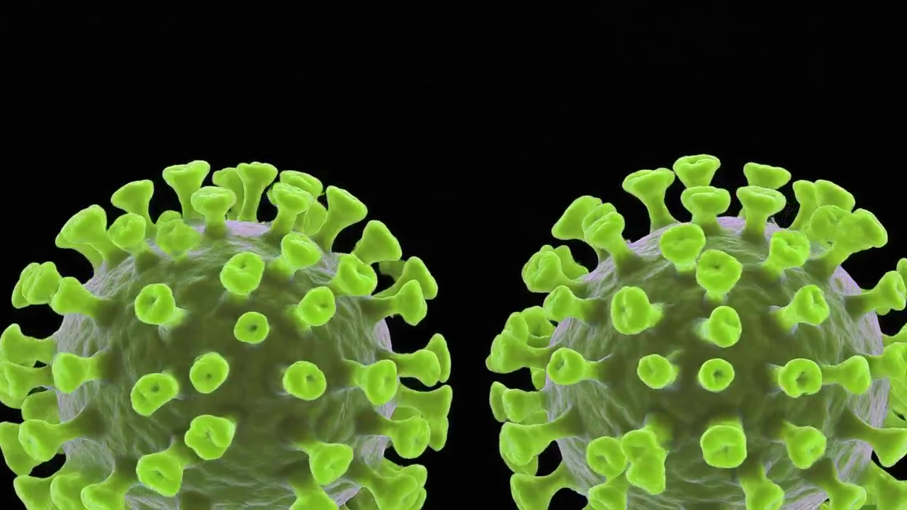 3D Animation of Coronavirus Cells Releasing Particles