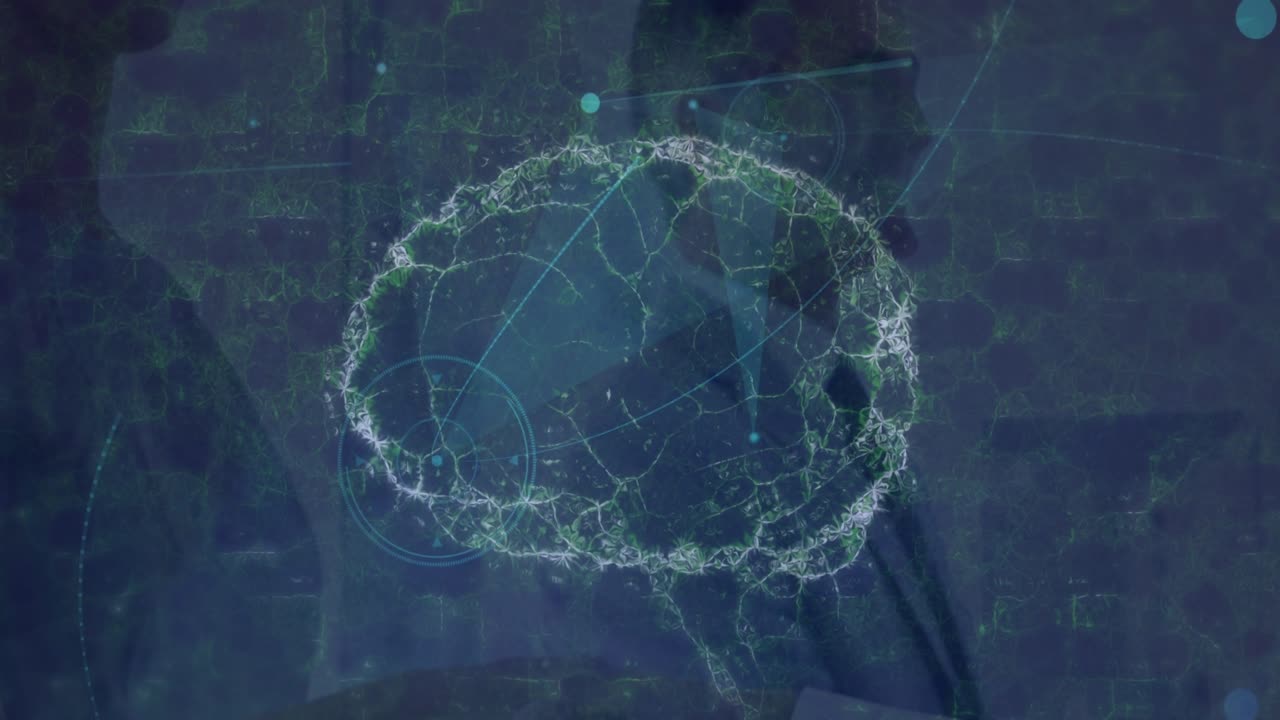 Animation of human brain spinning over network of connections