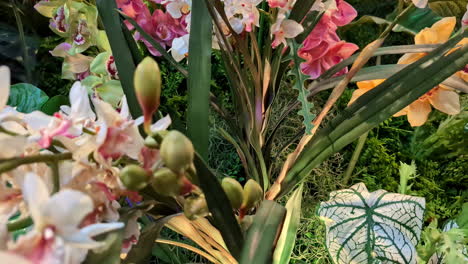 multicolor flowers bunch magnolia white fragrant pink full bloom