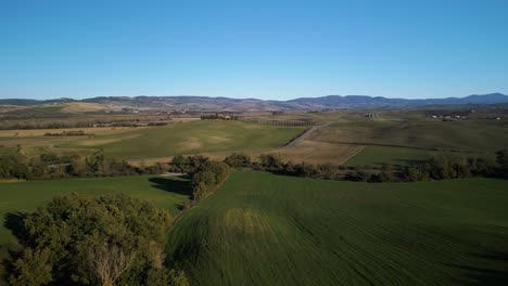 dolly aérea panorámica sobre colinas onduladas cubiertas de hierba divididas por árboles, val d'orcia toscana