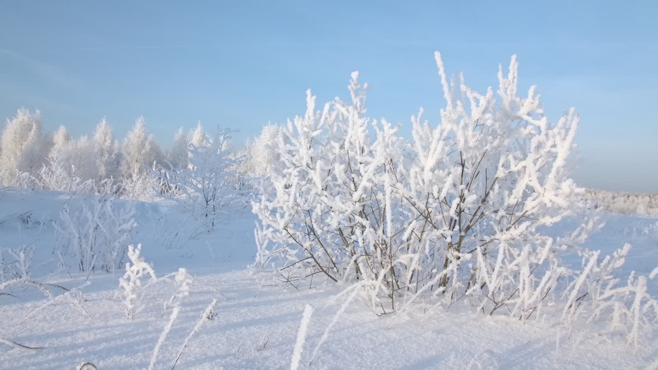 Vinterlandskab med frostklare træer