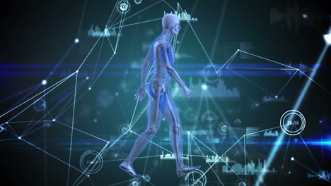 animation of network of connections and data processing over human body model