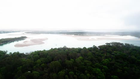 Tropische-Grüne-Wälder-Im-Noosa-River,-Sunshine-Coast,-Queensland,-Australien