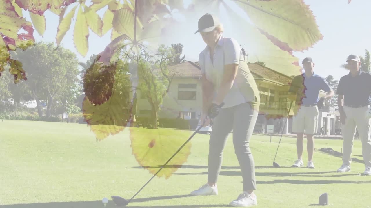 골프 코스에서 골프를 하는 고위 백인 커플 위에 있는 나무들의 애니메이션