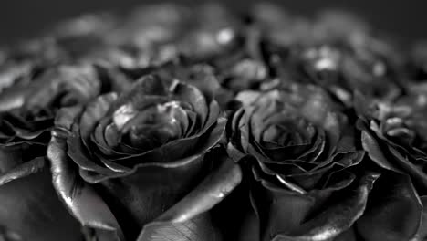 black roses spinning macro shot shallow depth of field