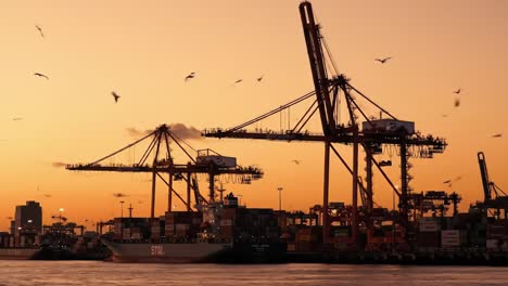 a serene sunset over a busy port: container ships and cranes silhouetted against the dusk sky, with birds in flight, capturing the essence of maritime activity