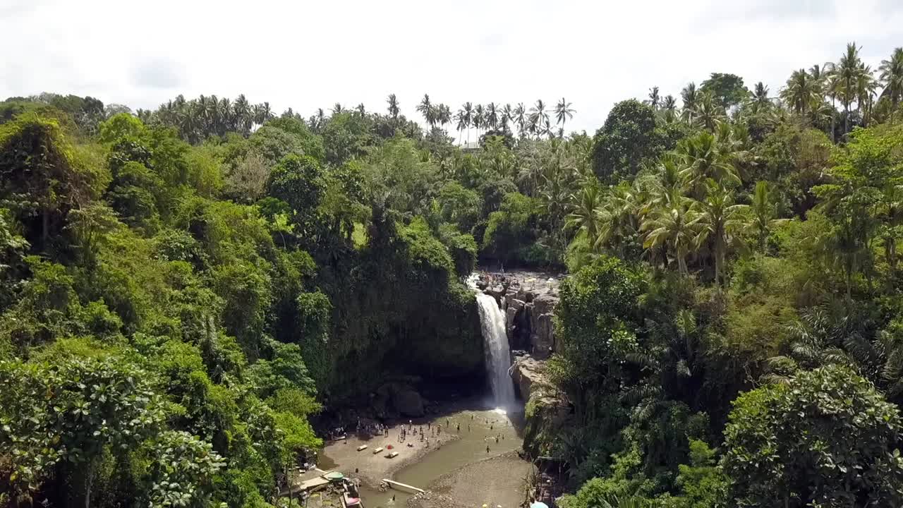 cascada de la selva de bali