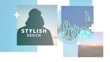 collection of stunning landscapes and cityscapes