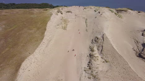 Toma-Aérea-En-ángulo-Alto-De-Turistas-Caminando-Por-Las-Dunas-Grises-En-La-División-De-Curonia-En-Lituania