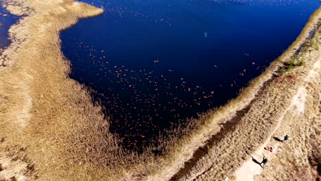 Top aerial view in slow motion of clay pigeon shot to pieces over farm dam