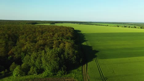 Luftdrohnenaufnahmen-Vom-Überqueren-Einer-Leeren-Straße-In-Richtung-Felder-Und-Wald-Mit-Klarem-Blauem-Himmel