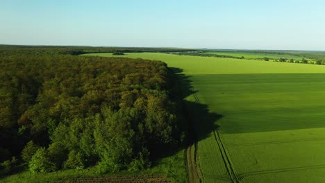 Imágenes-Aéreas-De-Drones-De-Cruzar-Una-Carretera-Vacía-Hacia-Campos-Y-Bosques-Con-Un-Cielo-Azul-Claro