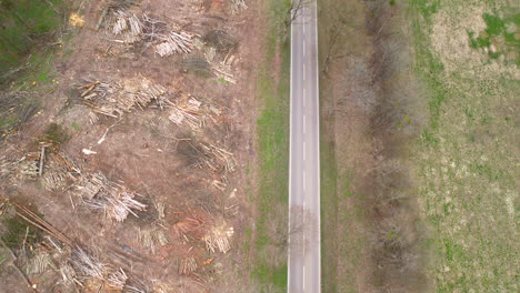 aerial top down shot of rural street with car next to deforested woodland