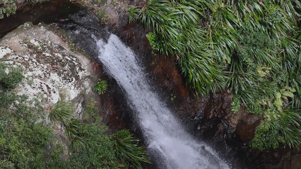una cascada serena en medio de la vegetación exuberante