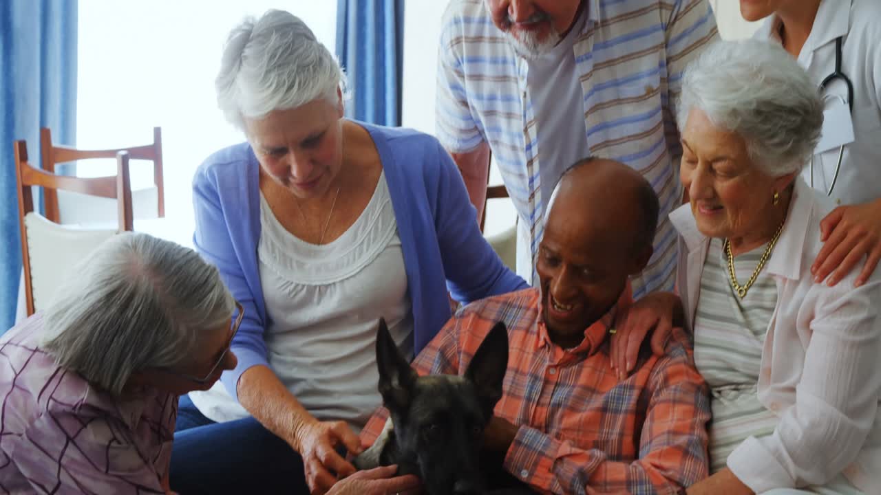 Amigos idosos acariciando um cachorro em lar de idosos 4k