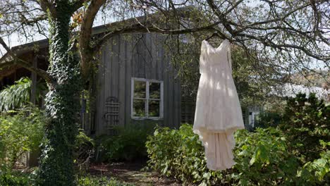 Hochzeitskleid-Hängt-Vor-Der-Hochzeit-Im-Baum