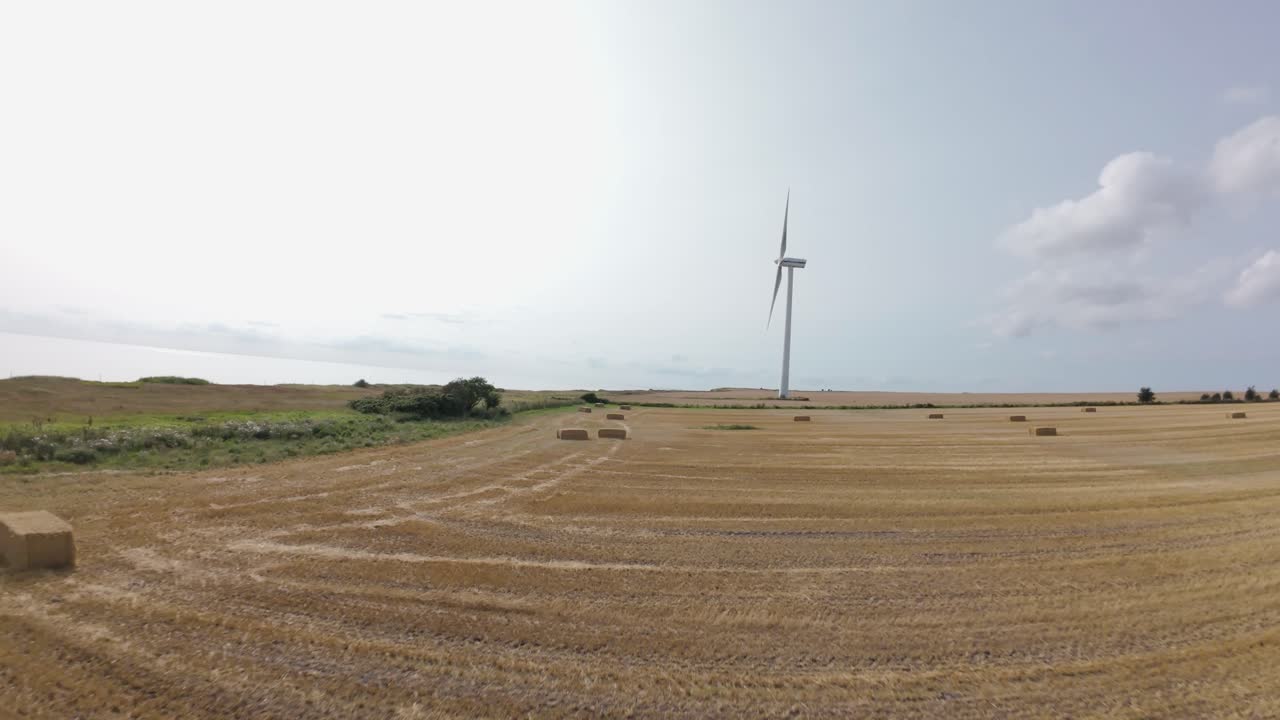 A slow motion drone flight over a golden wheat field near the Danish coast approaching a wind turbine under clear midday sun.