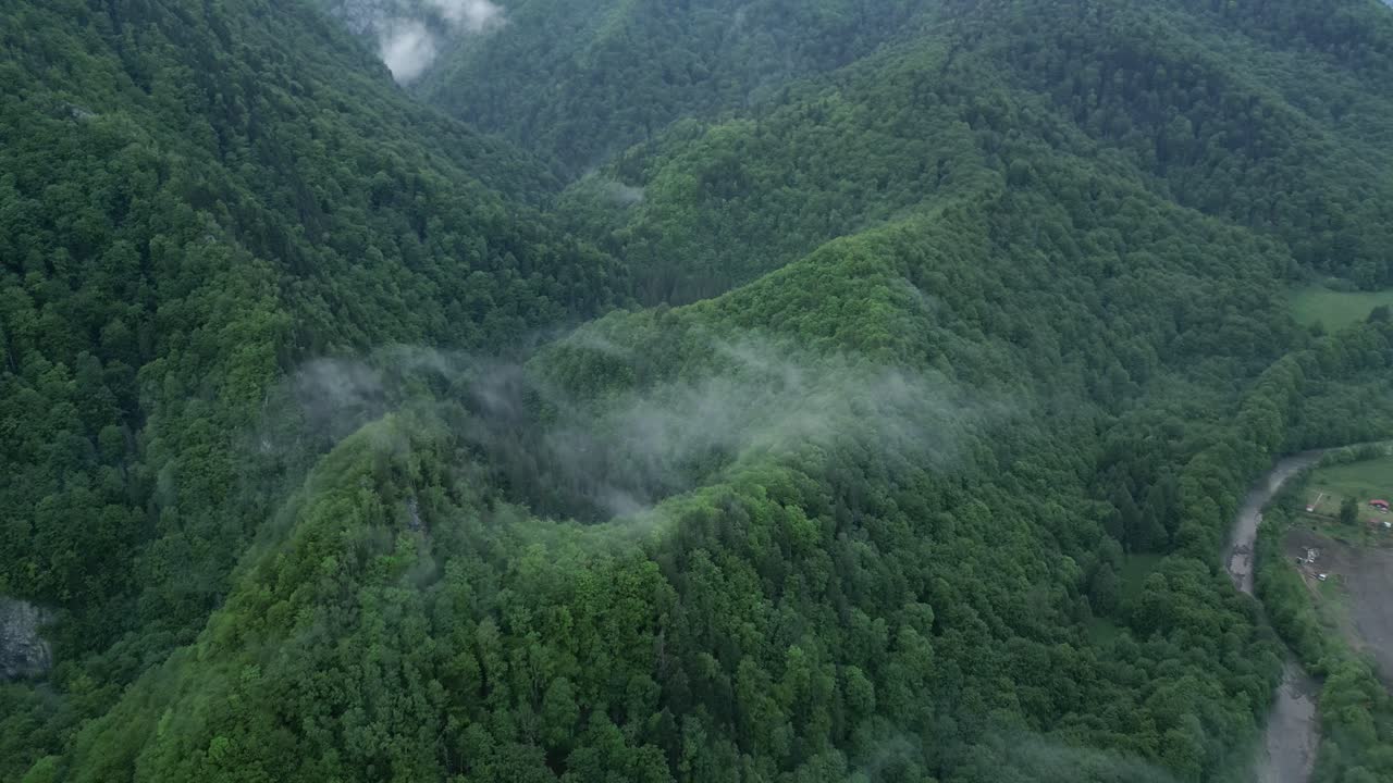 vista de las abundantes montañas forestales cerca de lepsa, condado de vrancea, rumania