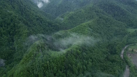 Above-View-Abundant-Forest-Mountains-Near-Lepsa,-Vrancea-County,-Romania