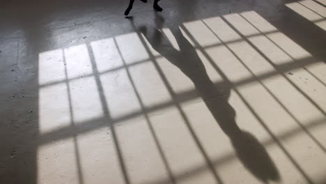 baile, actuación y persona