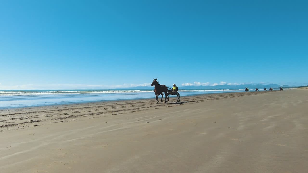 visão em câmera lenta de 60 fps de corridas de cavalos, trotador de cavalos, corrida de arreios durante o treinamento na praia, praia de madeira nova zelândia - tiro panorâmico