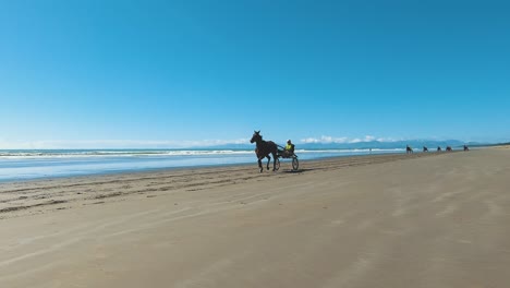 Vista-En-Cámara-Lenta-De-60-Fps-De-Carreras-De-Caballos,-Trotón-De-Caballos,-Carreras-De-Arneses-Durante-El-Entrenamiento-En-La-Playa,-Playa-De-Madera-Nueva-Zelanda---Tiro-Panorámico