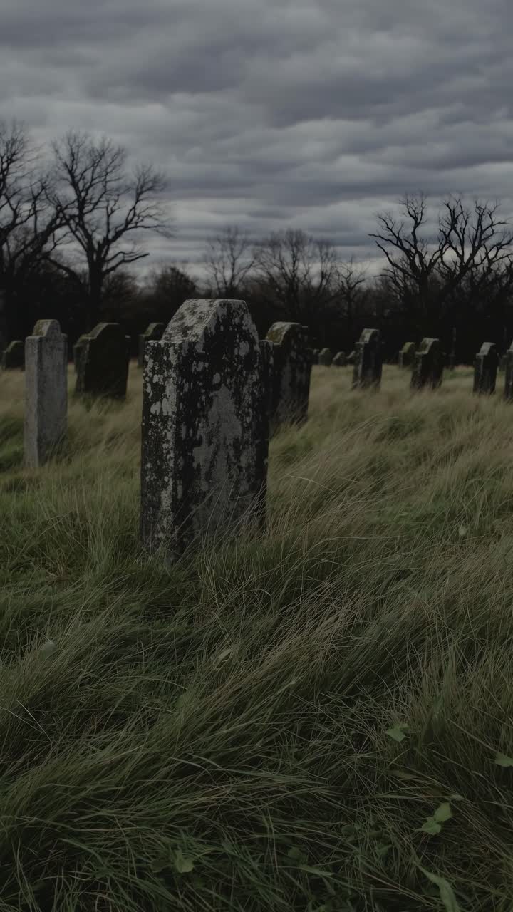 Spettrale scena di un cimitero con lapidi nell'erba alta, catturata da una bassa angolazione della camera