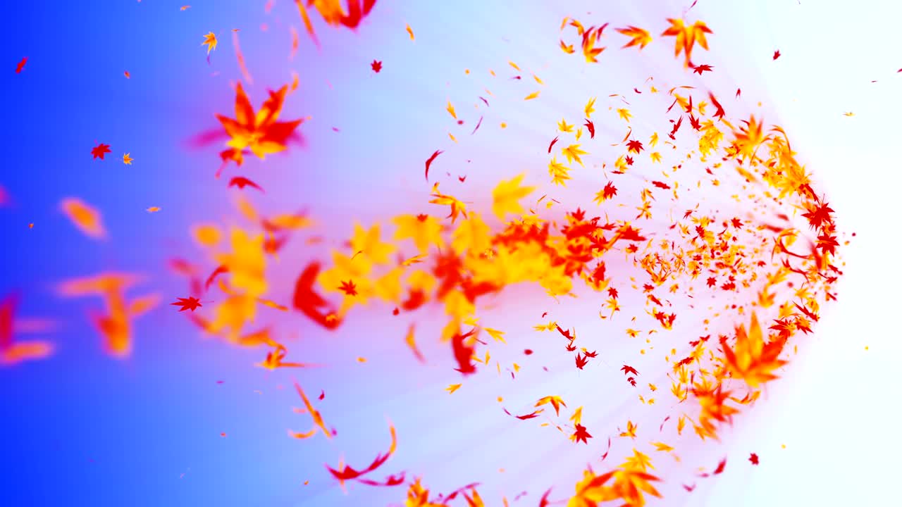 다채로운 메이플과 잎에서 나온 소용돌이, 가을 잎의 나선형 반이는 입자, 춤추는 잎, 다채로운 자연 터널 루프 애니메이션.