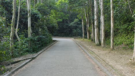 沿著鄉村的空路行駛