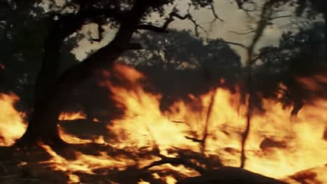 a dynamic and intense portrayal of wildfires raging through a forest, highlighting nature's fury and the devastation wrought by flames and smoke