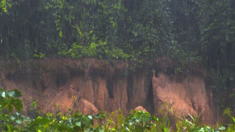 raindrops cascade over lush amazon greenery, a close-up of vibrant leaves soaked in the tropical downpour