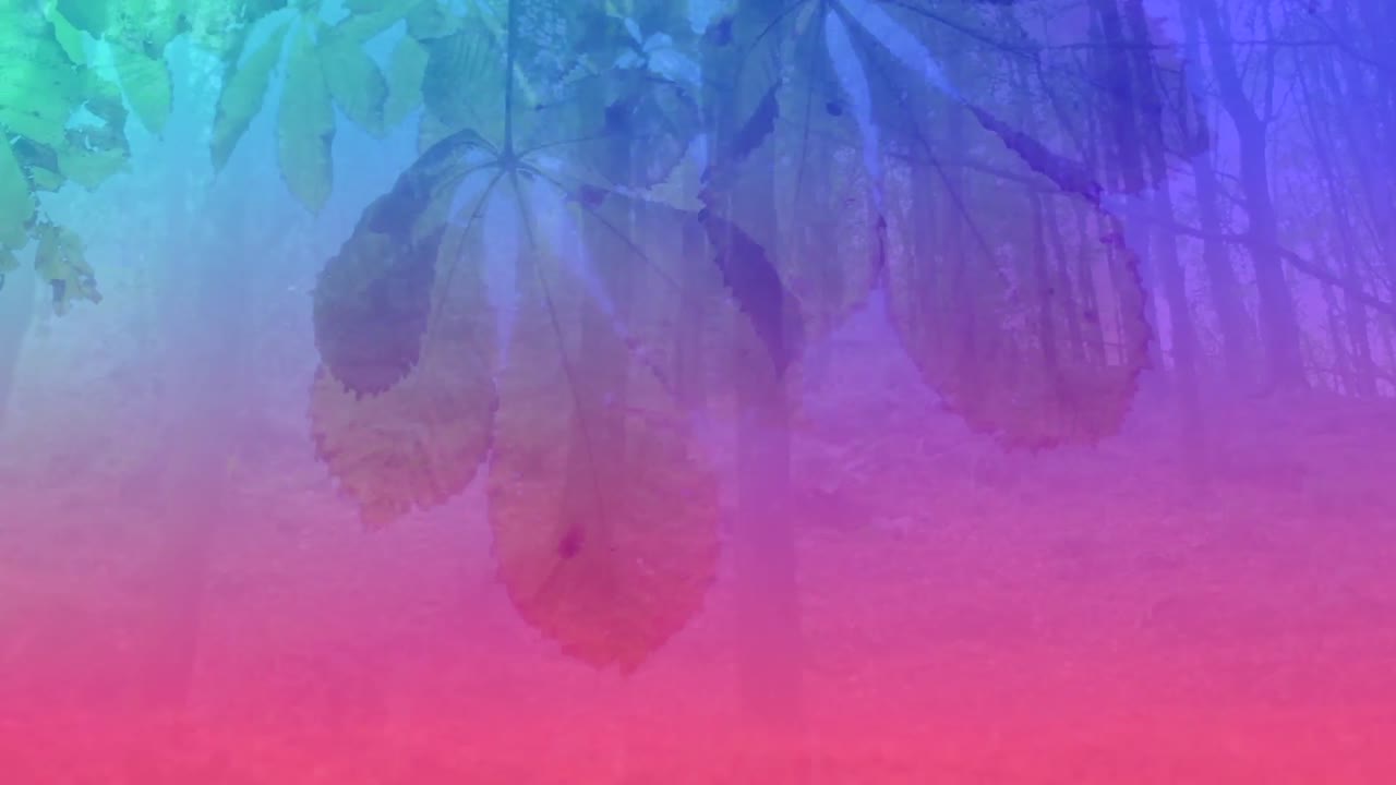 animación de luz colorida sobre el bosque y las hojas