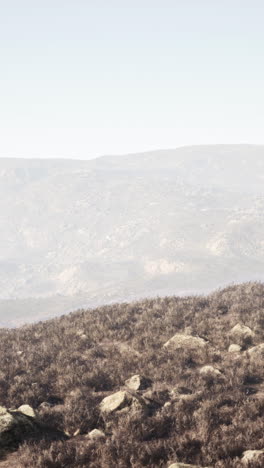 misty mountain landscape