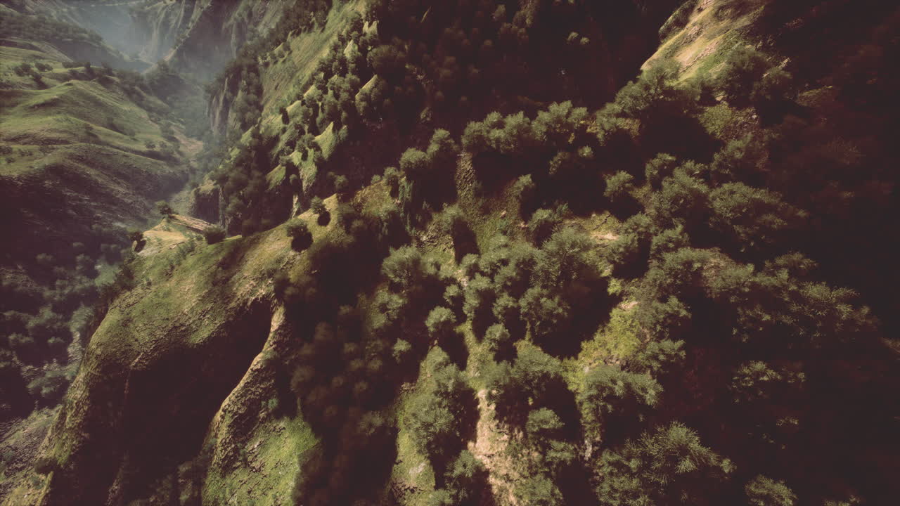 vista aérea de un valle montañoso con un bosque exuberante