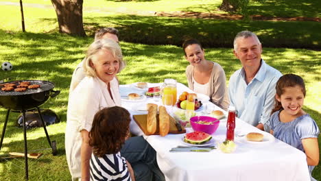 Glückliche-Familie,-Die-Ein-Picknick-Macht