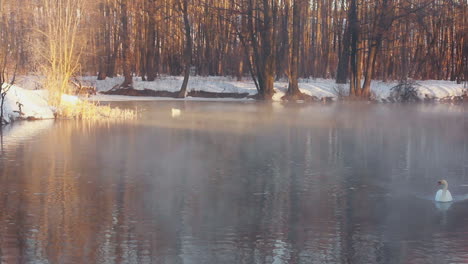 Winter-landscape.-Mist-over-forest-lake