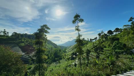 wide angle of beautiful landscape