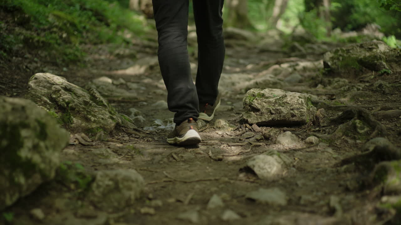 Una persona che fa escursionismo su un sentiero roccioso attraverso una foresta