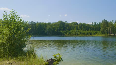 serene lakeside scenery