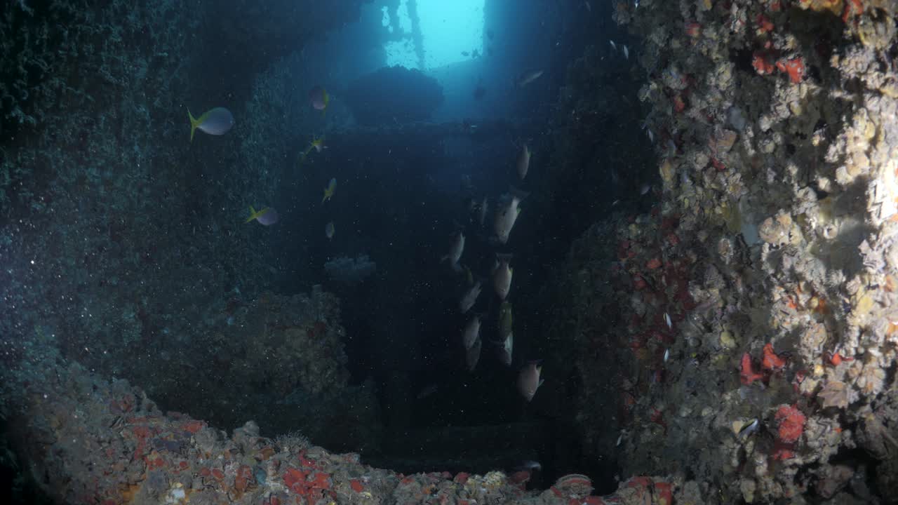 Unique view from a scuba divers underwater lights revealing the dark rooms of the recently scuttled Navy ship the Ex-HMAS Tobruk artificial reef
