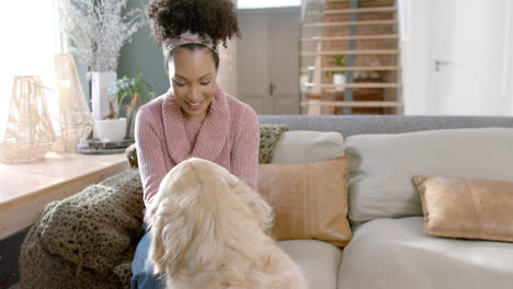 happy biracial woman petting golden retriever dog at home, slow motion, copy space