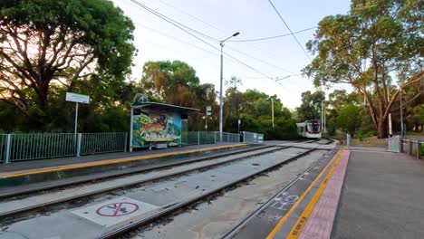 tram arriving at quiet station near melbourne zoo, australia