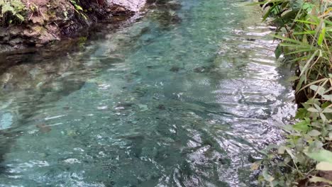 kali umbul gumuk in magelang, indonesia, a river with clear springs showing the riverbed