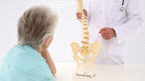 chiropractor showing spine model to patient