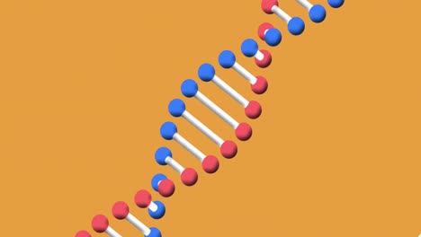 Animación-De-La-Estructura-Del-ADN-Girando-Con-Espacio-De-Copia-Sobre-Fondo-Naranja.