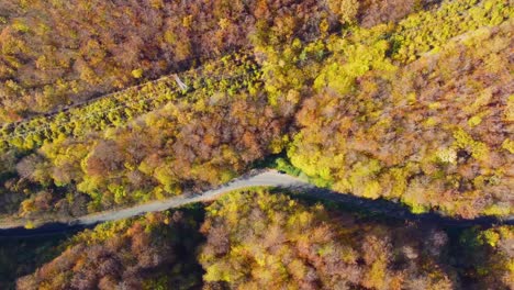 aerial view of curvy road in autumn forest