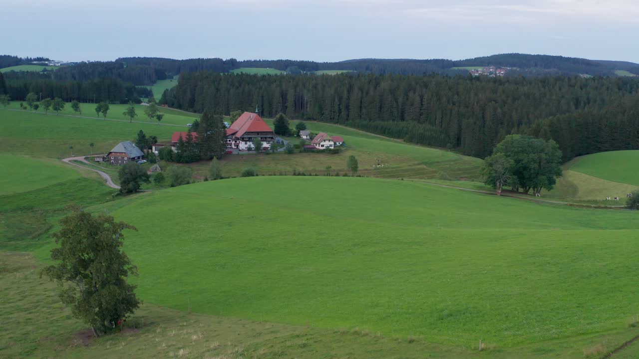 Idyllic cinematic Farmhouse at the black forest from the SWR "Die Fallers" with meadow with a tree and fir trees wood forest aerial drone panorama slow approached shot
